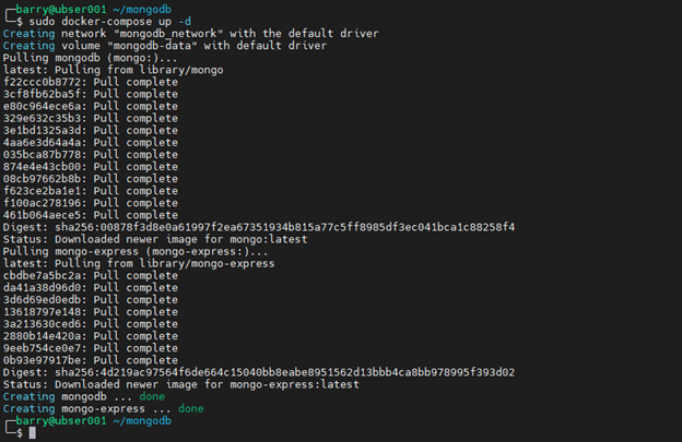 MongoDB Docker 9.1 - 高度なコンテナセットアップ