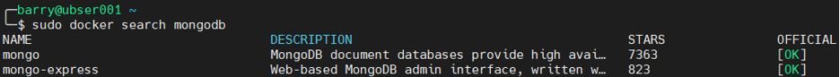 MongoDB Docker 4.1 - MongoDBコンテナイメージ