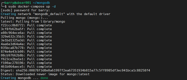 MongoDB Docker 4.4 - MongoDBコンテナを開始