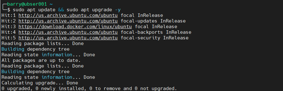 MongoDB Docker 1.1 - 既存のパッケージを更新