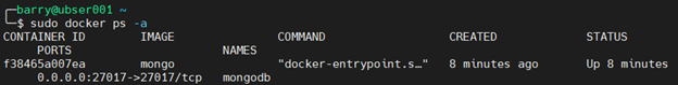 MongoDB Docker 4.5 - Dockerコンテナを確認