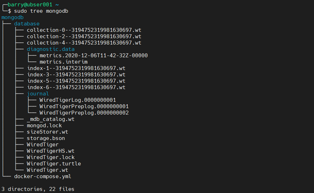 MongoDB Docker 4.6 - MongoDbコンテナを確認
