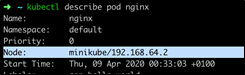 Kubernetes NodePort IP アドレス