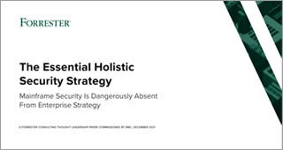 Analyst research: The Essential Holistic Security Strategy